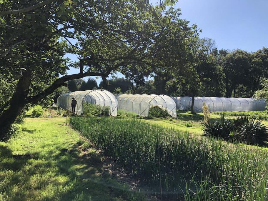 La Terre Ferme - Au Coeur D'une Ferme Maraichere Hébergement de vacances